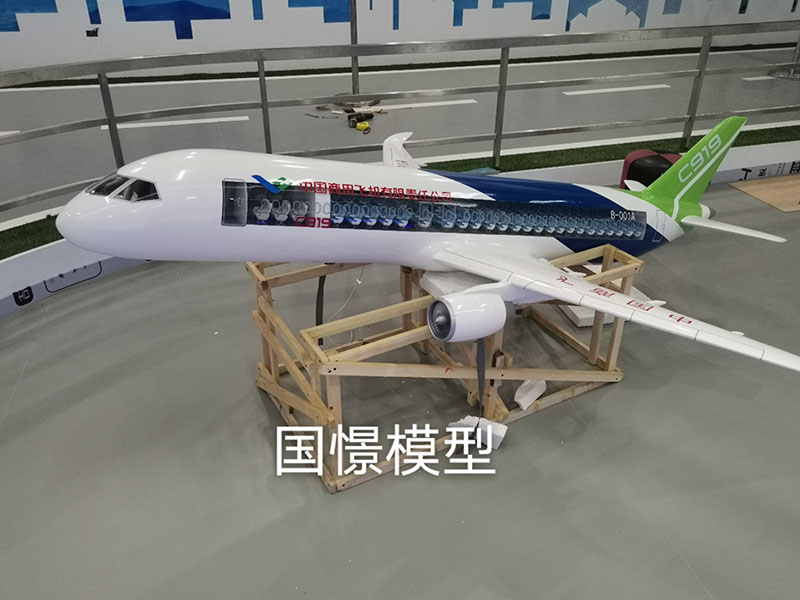 飛機(jī)模型